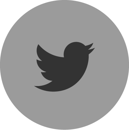 Twitter Icon